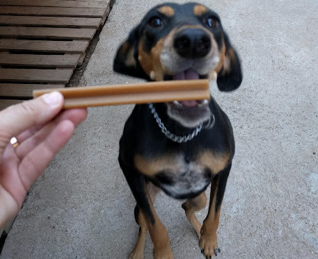 A Dog Eating Treats