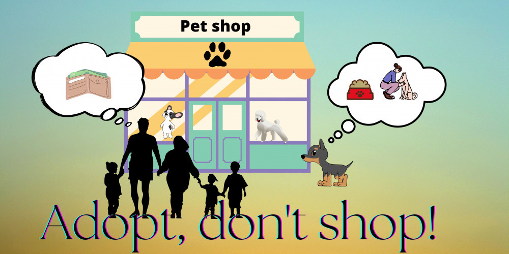 Adopt, don't shop