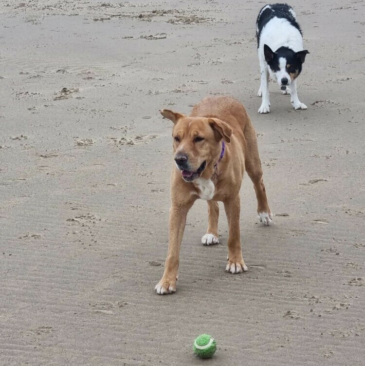 Lisa at the Beach