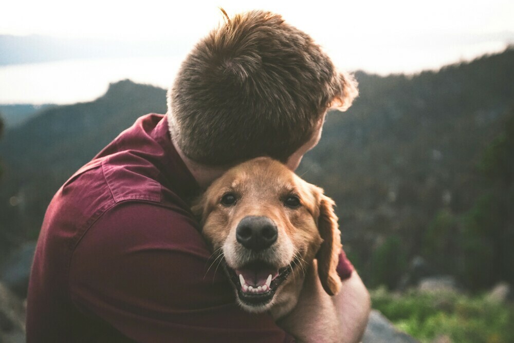 Happy owner, happy pet