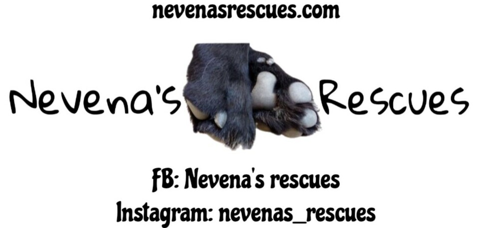 Nevena's rescues logo and social media